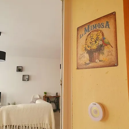 Les Mimosas
