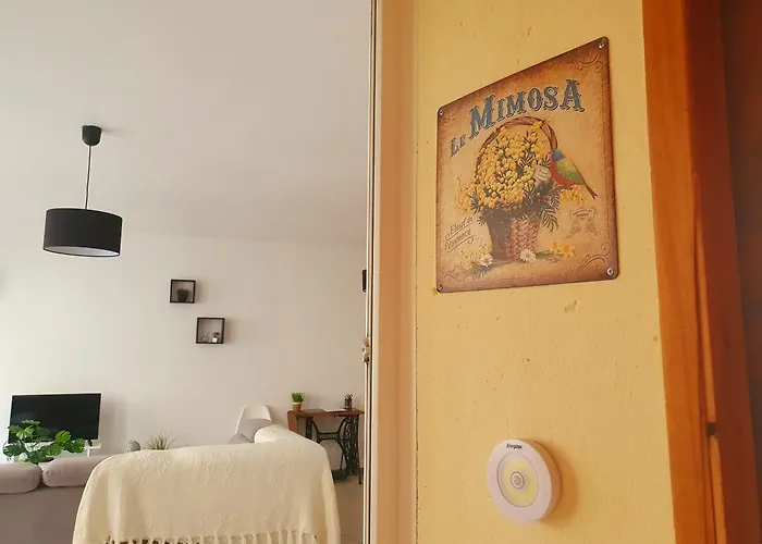 Les Mimosas